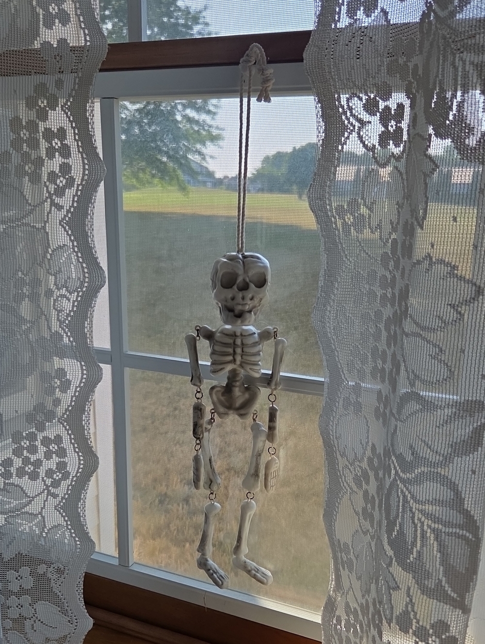 Hanging Skeleton